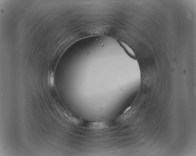 X0000074310095200609011523