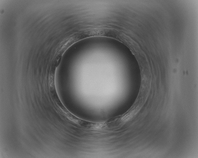 X0000074310096200609011523