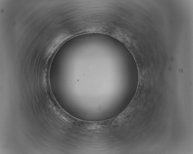 X0000074310098200609011522