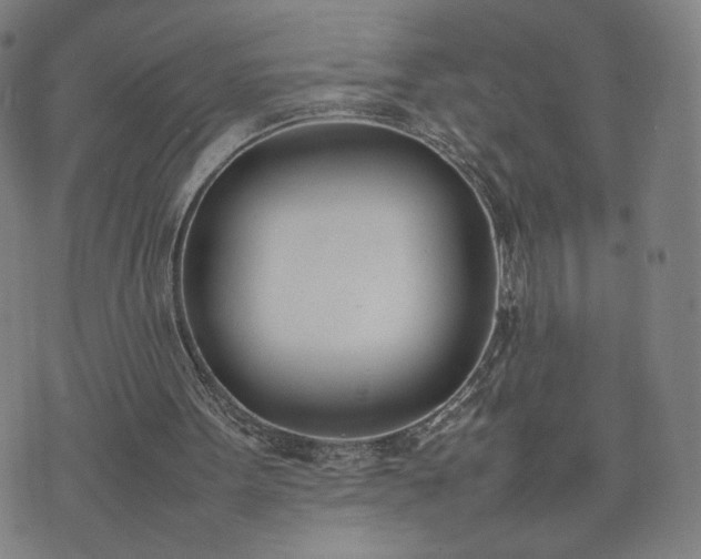 X0000074310099200609011522