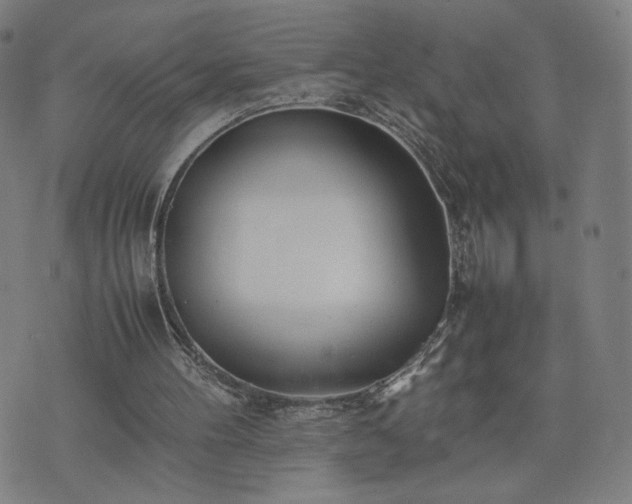 X0000074310100200609011522