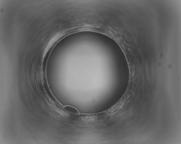 X0000074310102200609011522