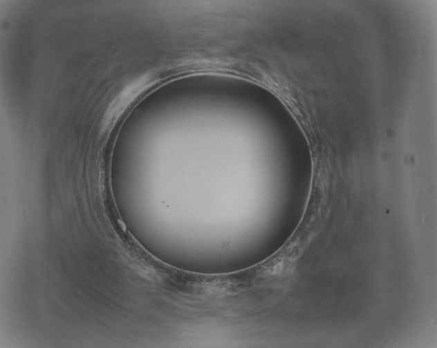 X0000074310103200609011522