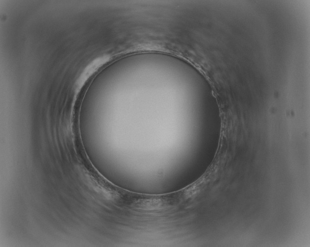 X0000074310104200609011522