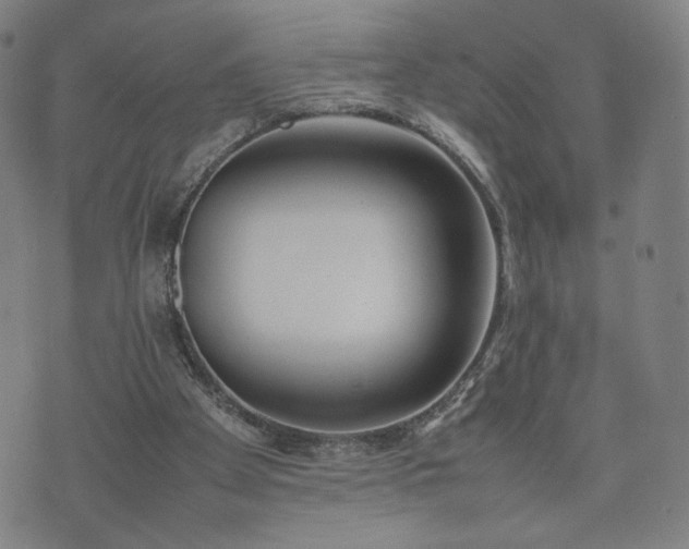 X0000074310105200609011522