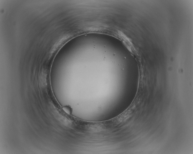 X0000074310106200609011522