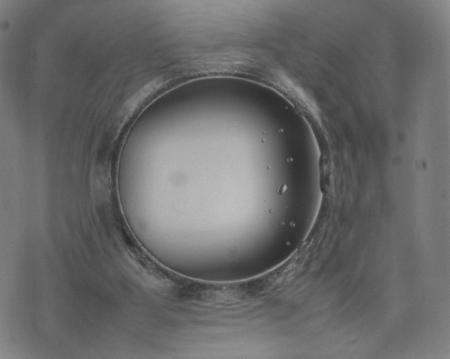 X0000074310107200609011522