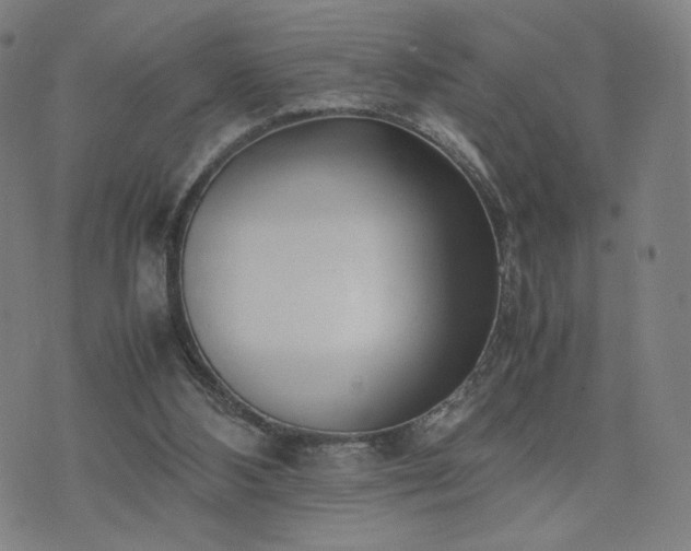 X0000074310108200609011522