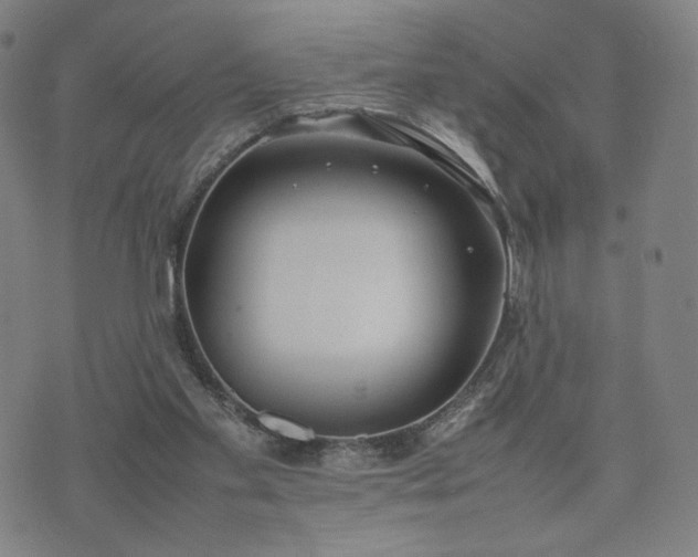 X0000074310109200609011522