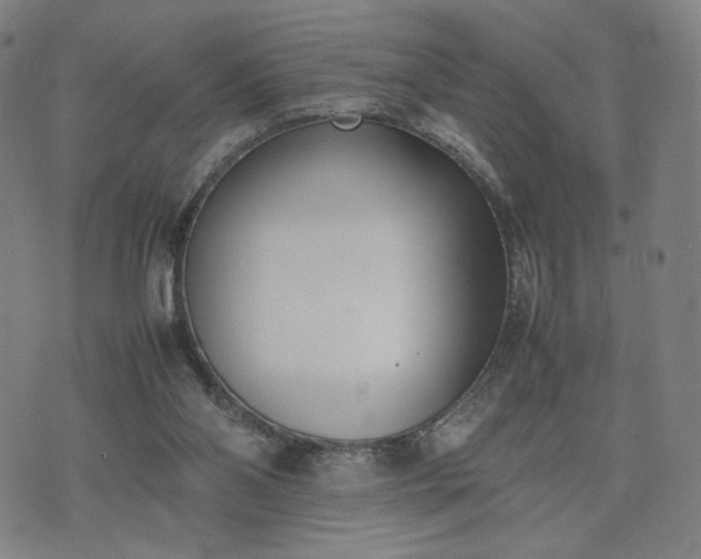 X0000074310110200609011522