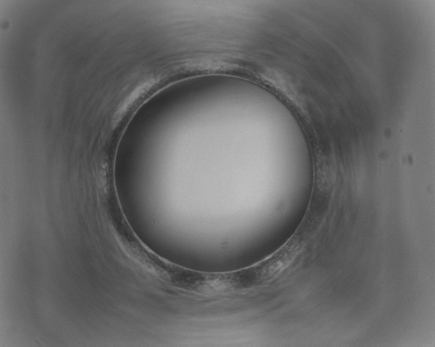 X0000074310111200609011522