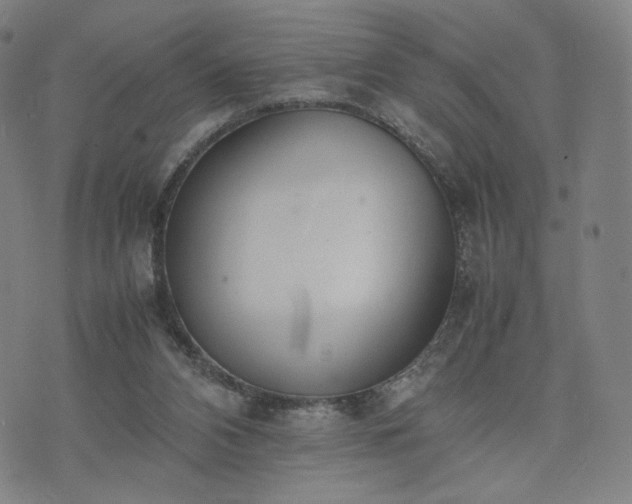 X0000074310112200609011522