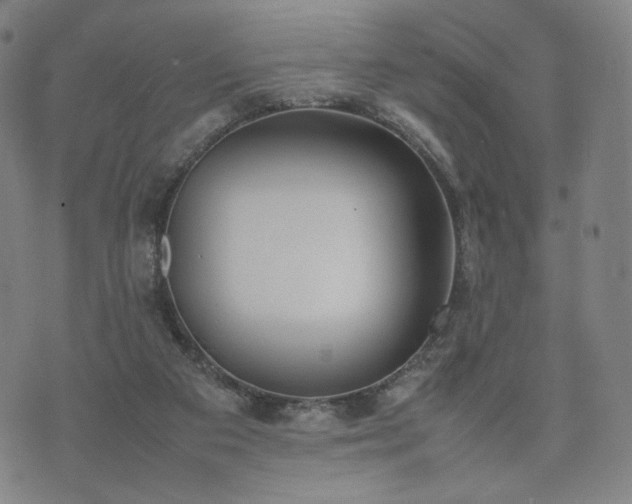 X0000074310113200609011522