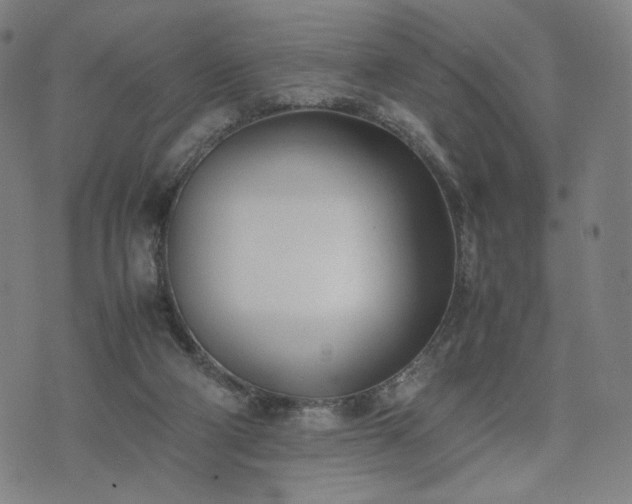 X0000074310114200609011522