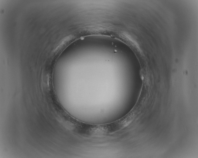 X0000074310115200609011522