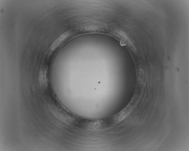 X0000074310116200609011522