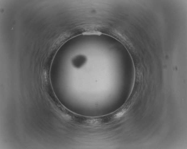 X0000074310117200609011522