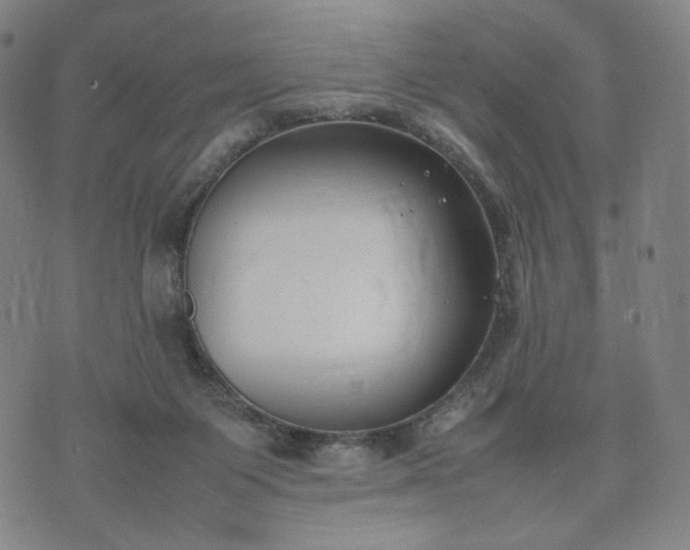 X0000074310119200609011522