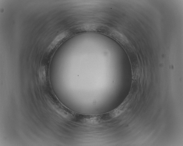 X0000074310120200609011522