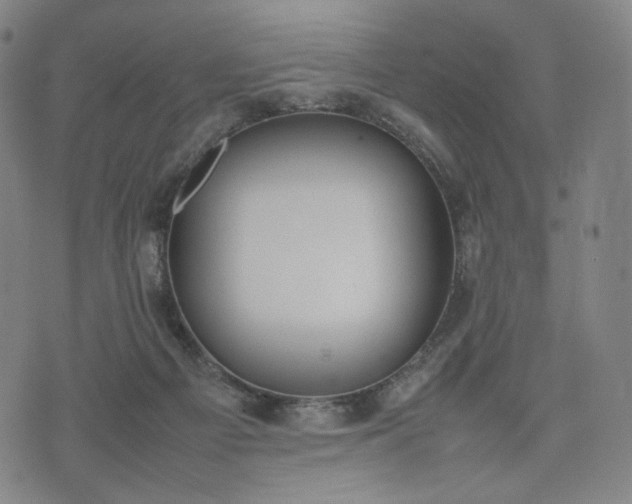 X0000074310121200609011522