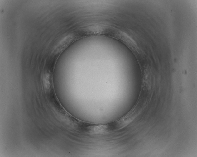 X0000074310122200609011522