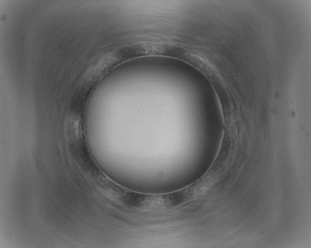 X0000074310123200609011522