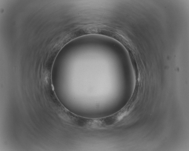 X0000074310125200609011522