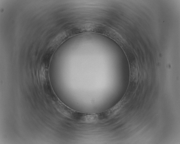 X0000074310126200609011522