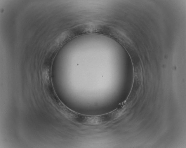 X0000074310127200609011522