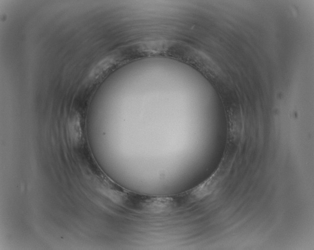 X0000074310128200609011522