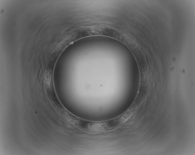 X0000074310129200609011522