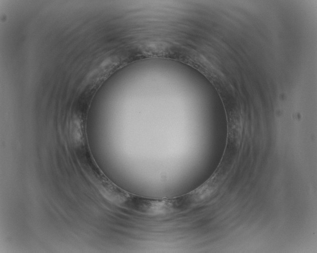 X0000074310130200609011522