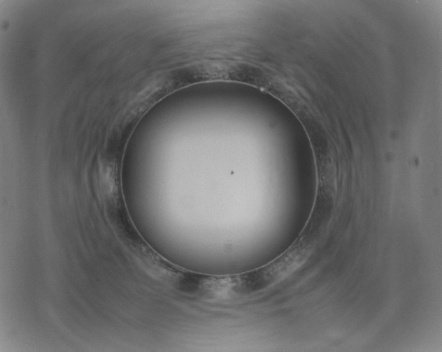 X0000074310131200609011522