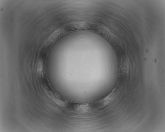 X0000074310132200609011522