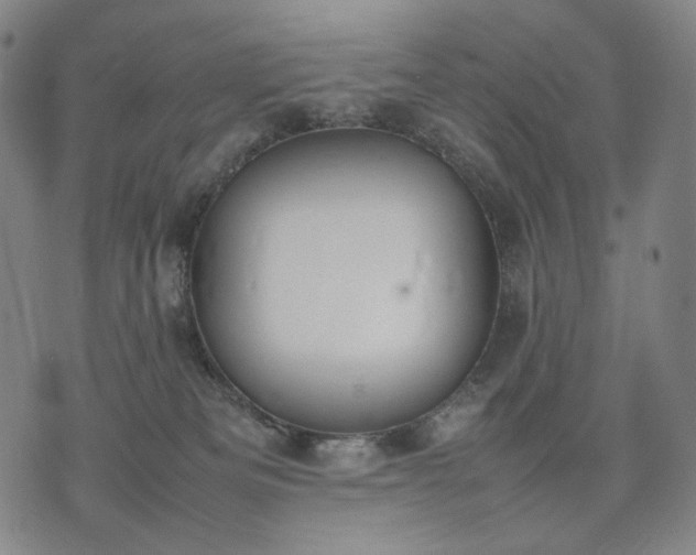 X0000074310133200609011522