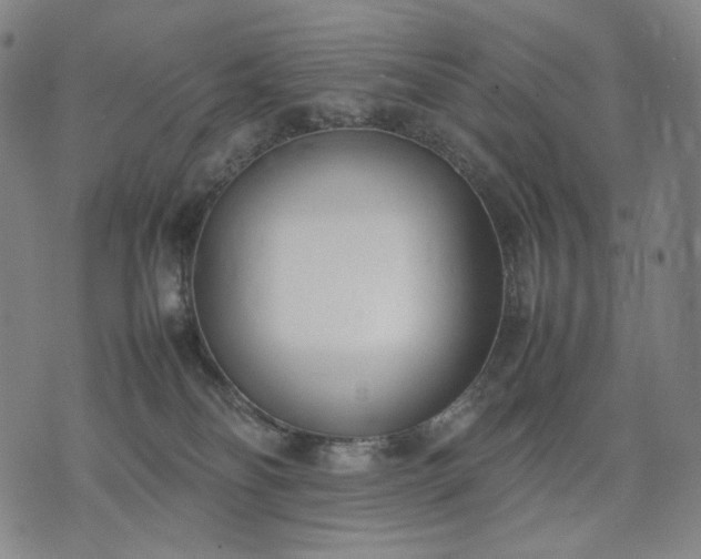 X0000074310134200609011522