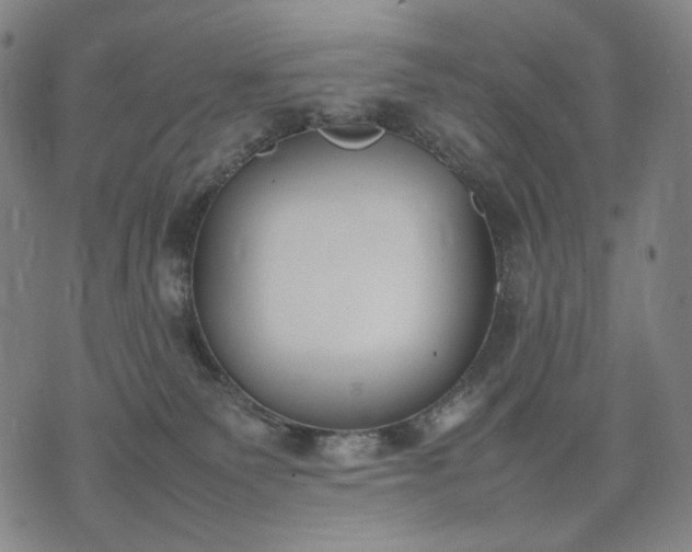 X0000074310135200609011522