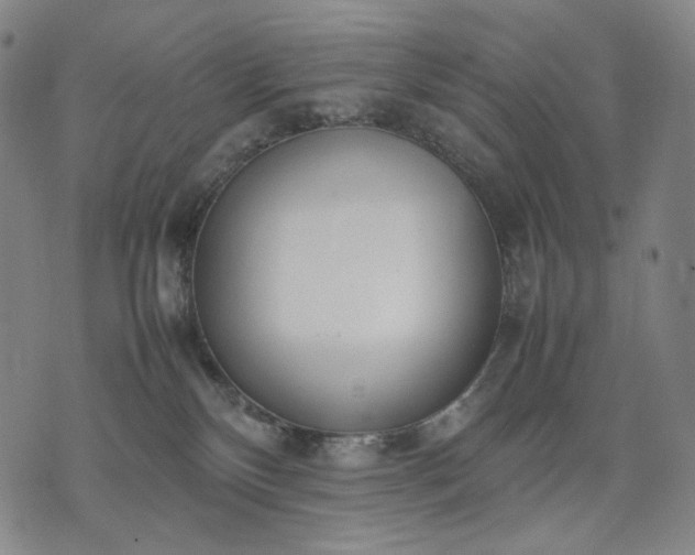 X0000074310136200609011522