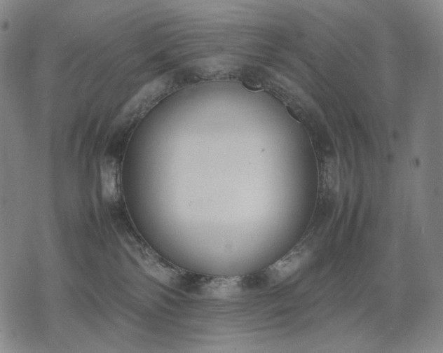 X0000074310138200609011522