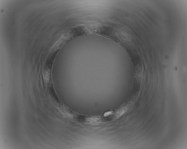 X0000074310139200609011522