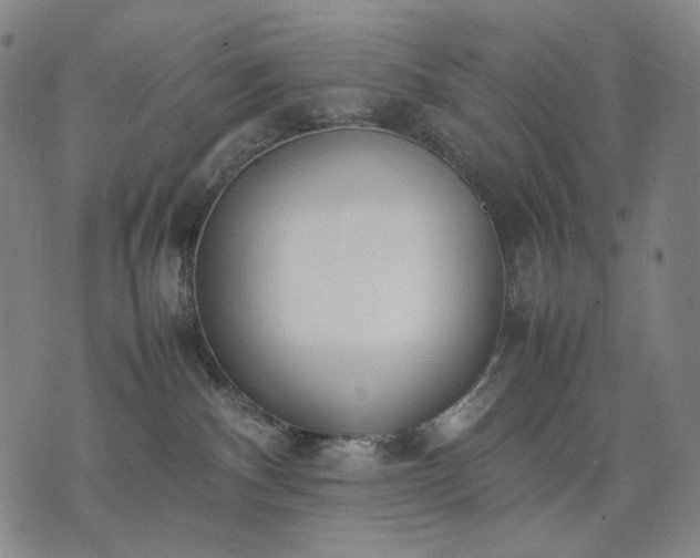 X0000074310140200609011522