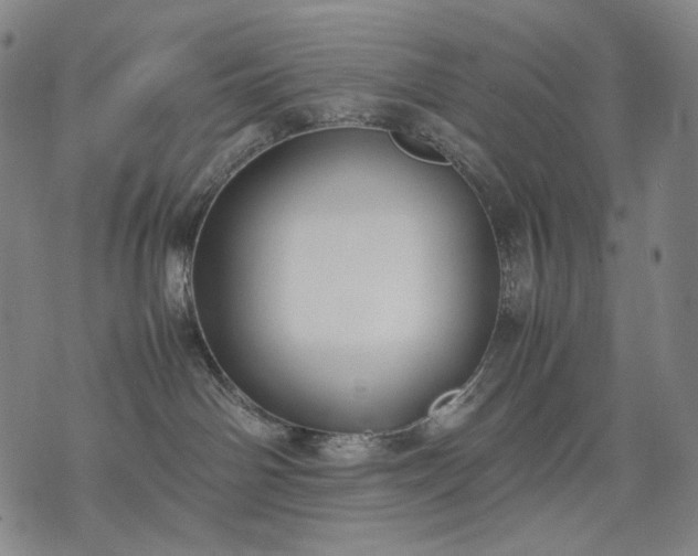 X0000074310142200609011522