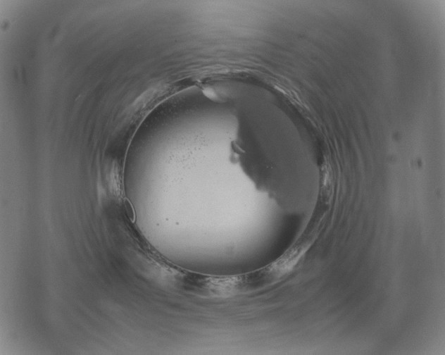 X0000074310143200609011522