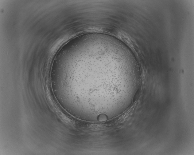 X0000074310145200609011521