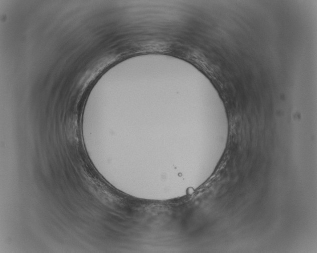 X0000074310146200609011521