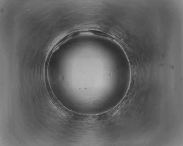 X0000074310148200609011521