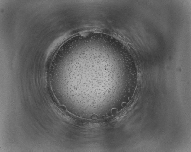 X0000074310149200609011521