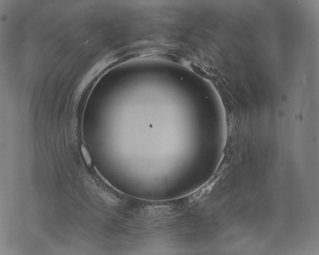 X0000074310150200609011521