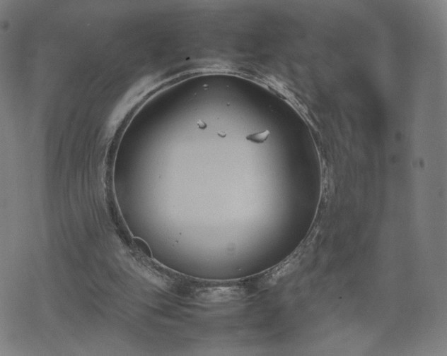 X0000074310151200609011521