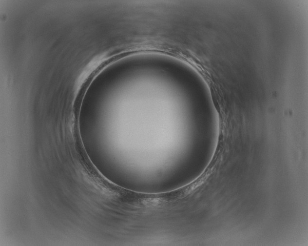 X0000074310152200609011521